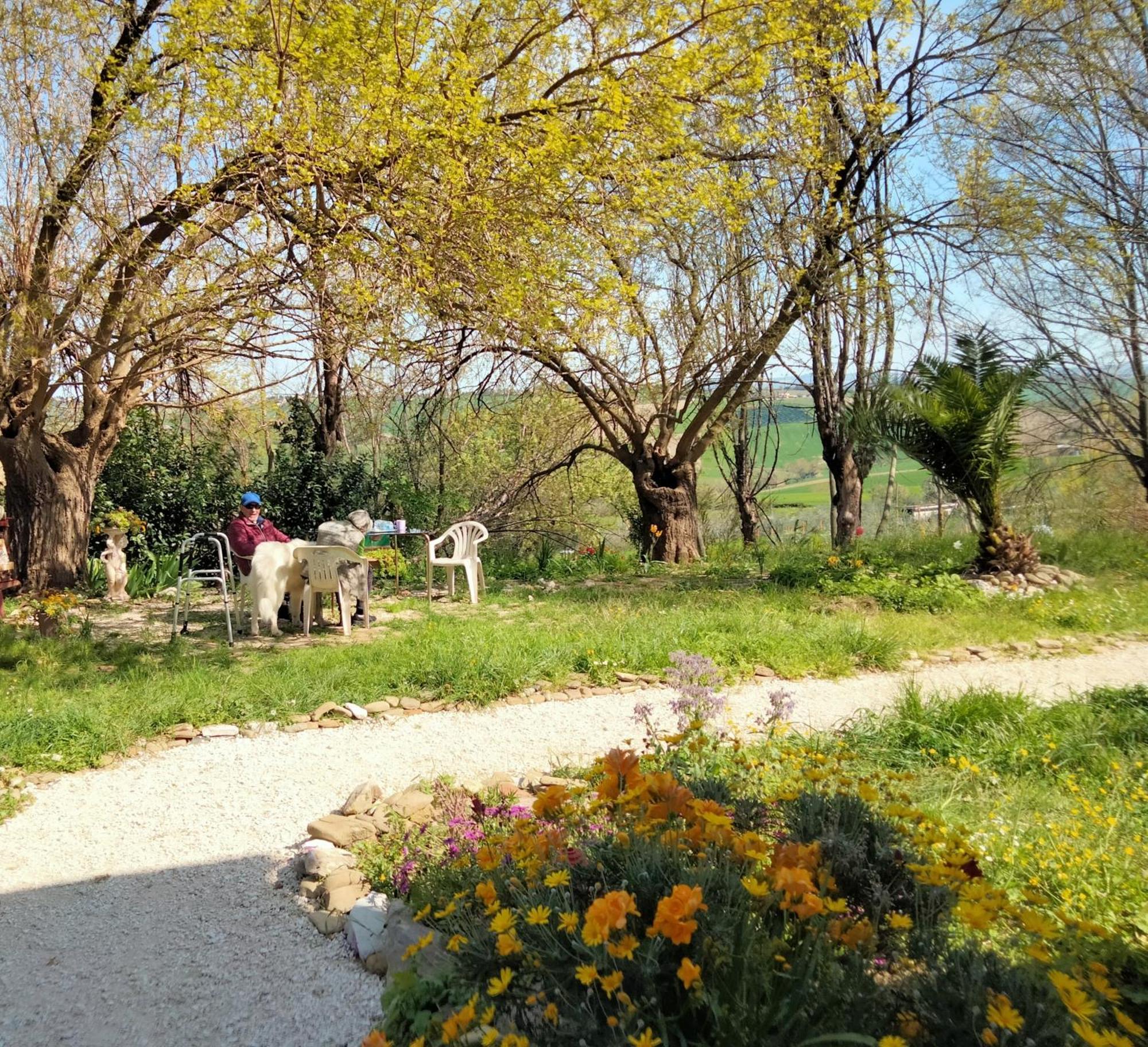 Маrche B&B Belvedere Ostrense Exterior foto