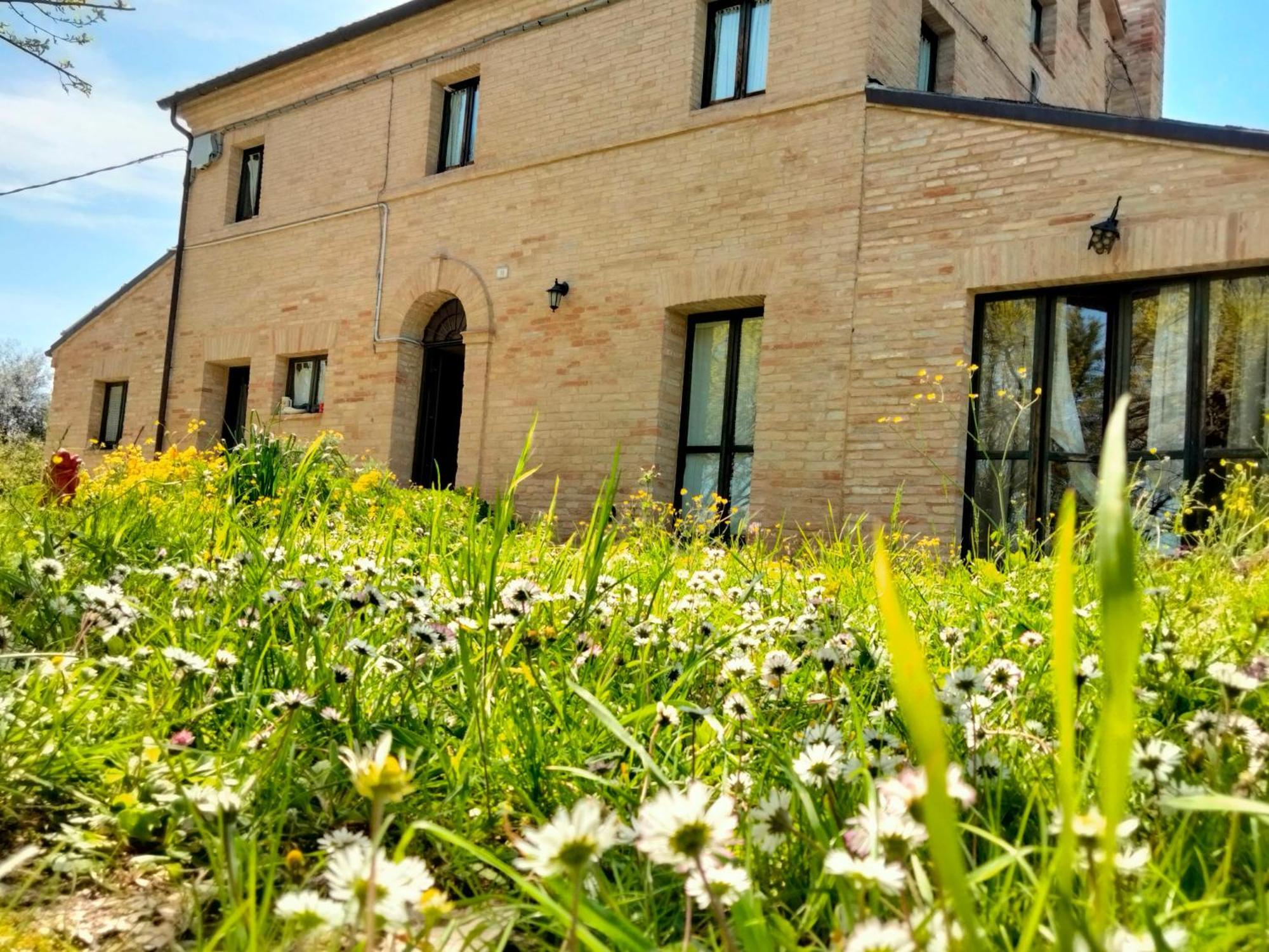 Маrche B&B Belvedere Ostrense Exterior foto